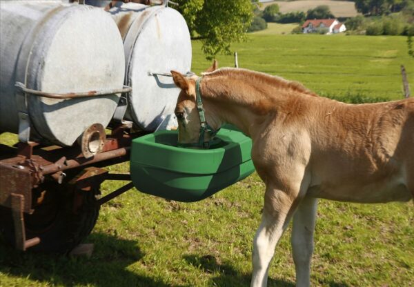 Doppio abbeveratoio a galleggiante S60 per cisterna da pascolo - immagine 8