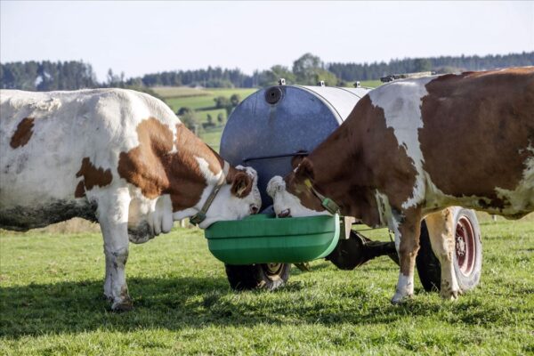 Doppio abbeveratoio a galleggiante S60 per cisterna da pascolo - immagine 10