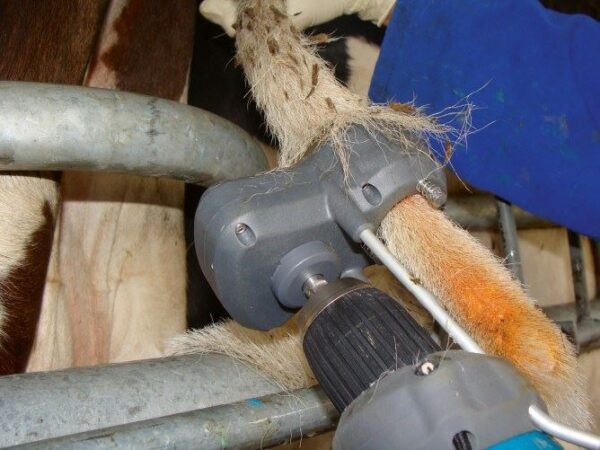Tosacoda TailWell® Trimmer per bovini - immagine 8