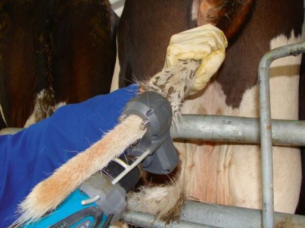 Tosacoda TailWell® Trimmer per bovini - immagine 13