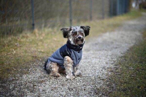 Cappotto per cani Quebec - immagine 8