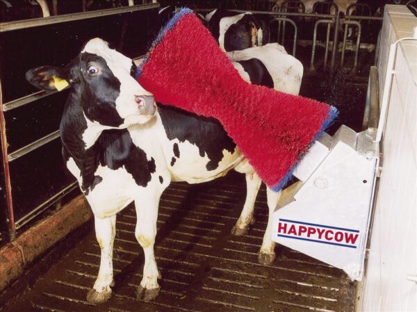 Spazzoloni per bovini HappyCow - immagine 3