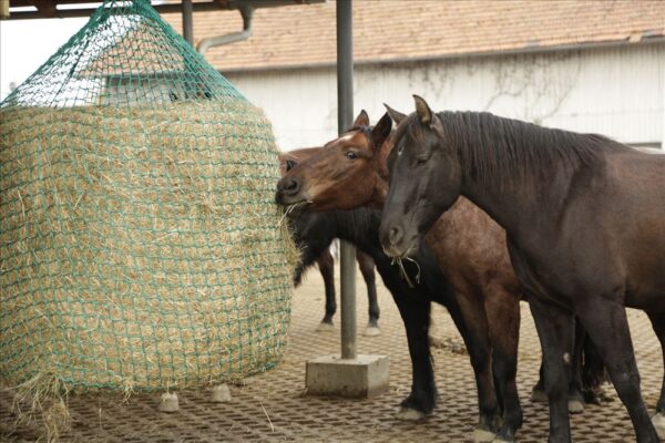 Rete per fieno per balle tonde - immagine 4