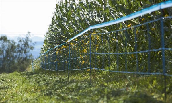 WildNet, Rete per la protezione dagli animali selvatici - immagine 2