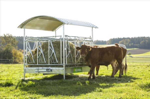 Rastrelliera rettangolare con ringhiera a palizzata per bovini privi di corna - immagine 4