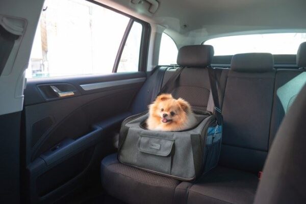 Borsa per sedile auto Vacation