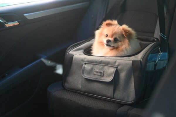 Borsa per sedile auto Vacation - immagine 10
