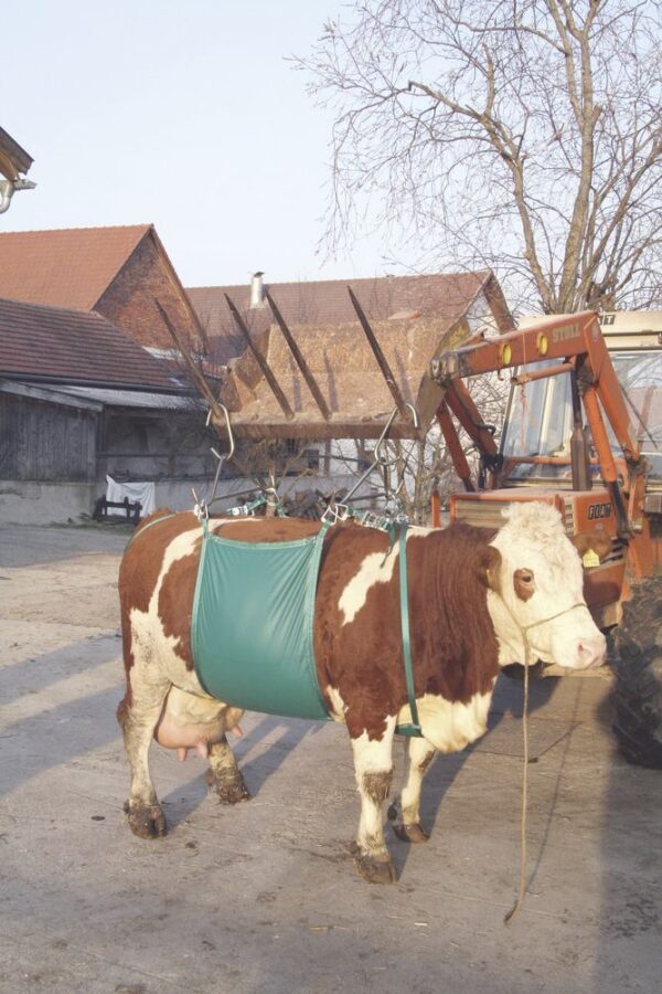 Alzabestiame per bovini fino a 1.000 kg