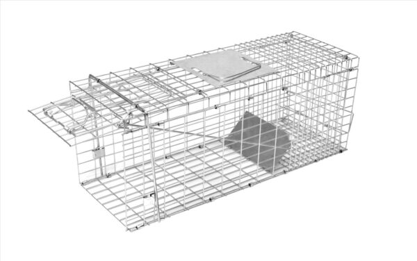 Trappola a cassetta Alive Predator ecoflex