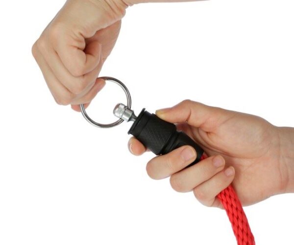 Longhina con pin GoLeyGo 2.0 - immagine 4
