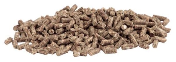 Delizia® Biotina in pellet, Mangime complementare per cavalli - immagine 2