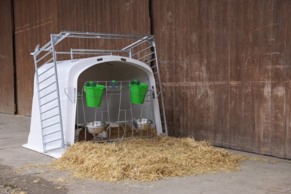 CalfHouse Premium DUO - immagine 17