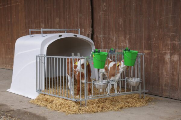 CalfHouse Premium DUO - immagine 7