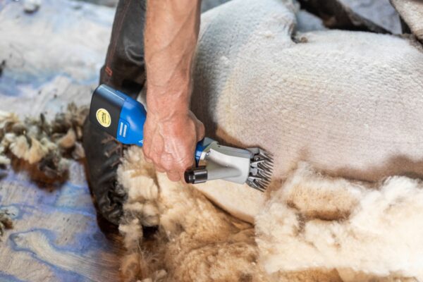 Aesculap Tosatrice a batteria per pecore Econom NOVA CL - immagine 4