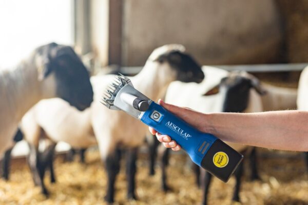 Aesculap Tosatrice a batteria per pecore Econom NOVA CL - immagine 5